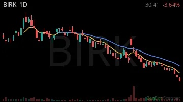 BIRK daily chart