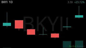 BKYI daily chart