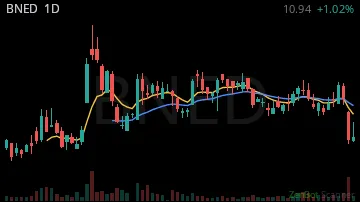 BNED daily chart