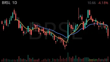 BRSL daily chart