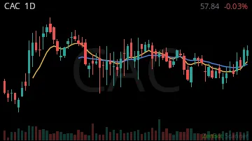 CAC daily chart