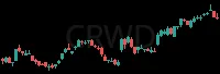 CRWD daily chart