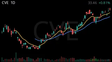 CVE daily chart