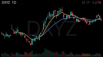 DXYZ daily chart