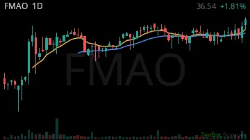 FMAO daily chart