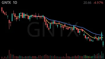 GNTX daily chart