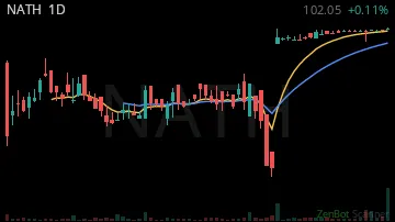 NATH daily chart