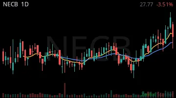 NECB daily chart