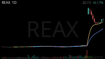 REAX daily chart