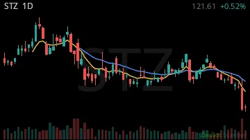 STZ daily chart