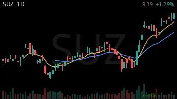 SUZ daily chart