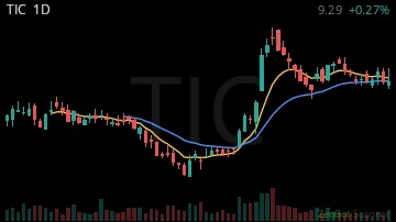 TIC daily chart