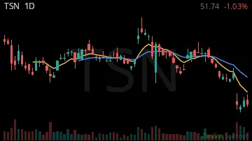 TSN daily chart