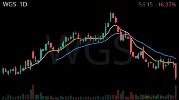 WGS daily chart