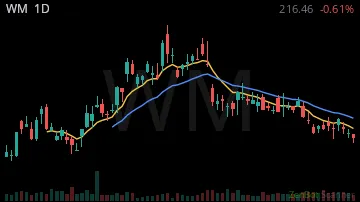 WM daily chart