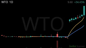 WTO daily chart