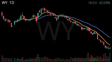 WY daily chart