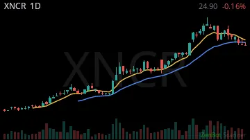 XNCR daily chart